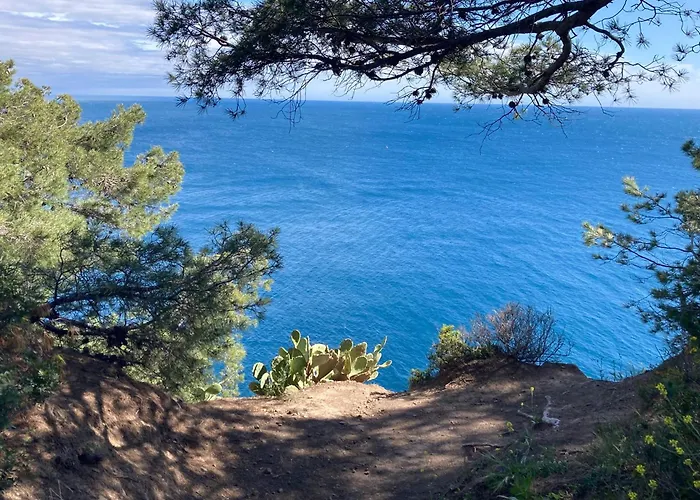 Petit Paradis Classe 3 Etoiles A 200M De La Plage! Terrasse-Wifi-Parking-Clim