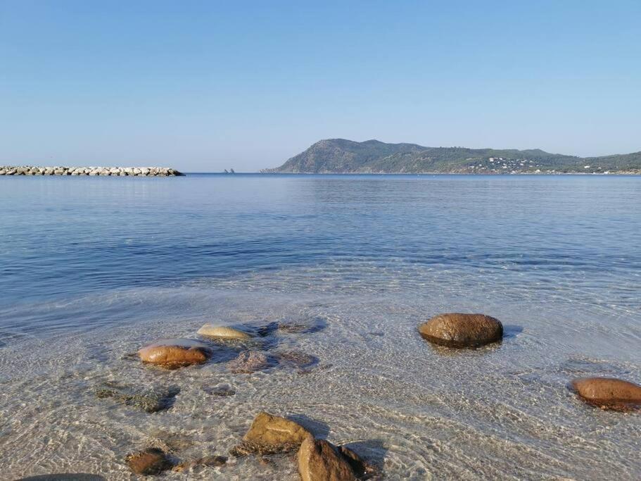 Petit Paradis Classe 3 Etoiles A 200m De La Plage! Terrasse-wifi-parking-clim Apartment *