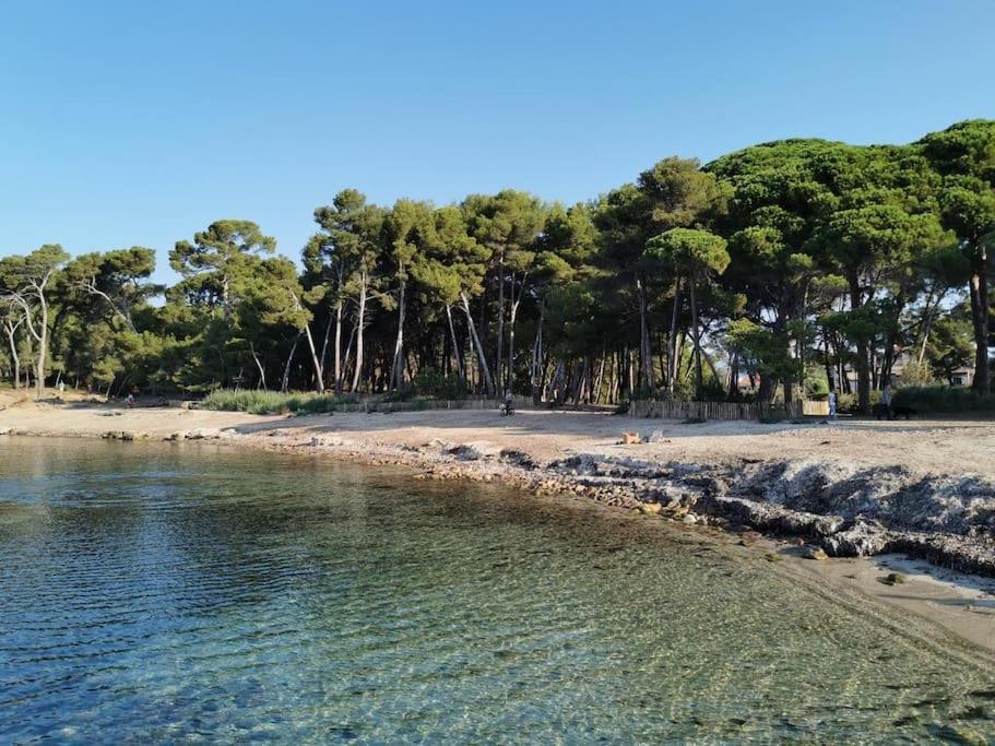 Petit Paradis Classe 3 Etoiles A 200m De La Plage! Terrasse-wifi-parking-clim Apartment *