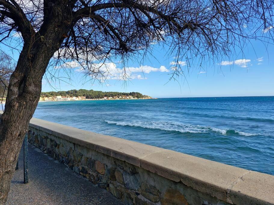 Petit Paradis Classe 3 Etoiles A 200m De La Plage! Terrasse-wifi-parking-clim * Saint-Mandrier-sur-Mer