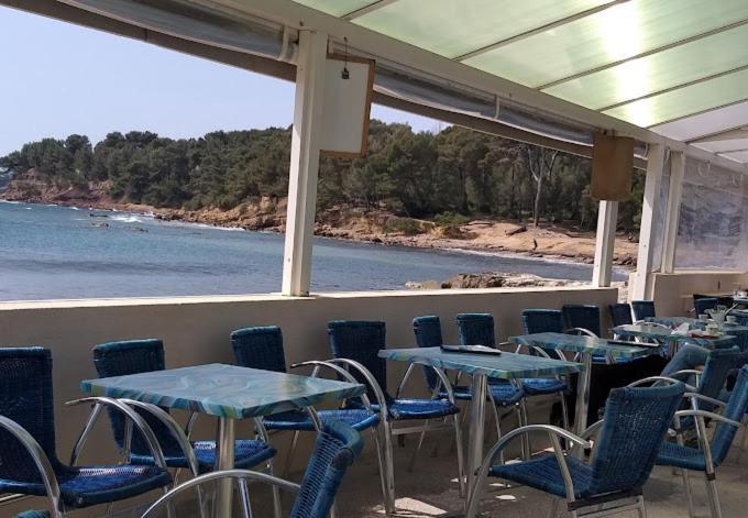 Apartment Petit Paradis Classe 3 Etoiles A 200m De La Plage! Terrasse-wifi-parking-clim