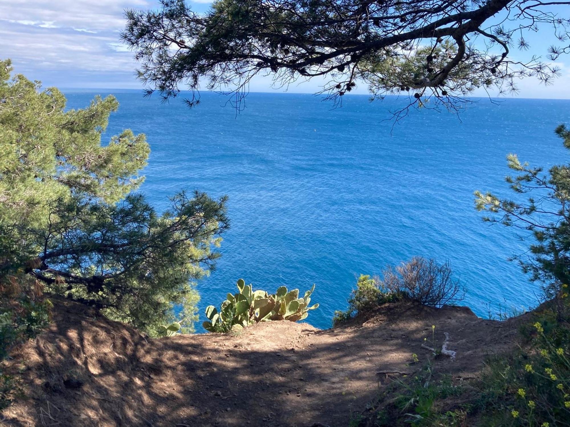 Petit Paradis Classe 3 Etoiles A 200m De La Plage! Terrasse-wifi-parking-clim Saint-Mandrier-sur-Mer